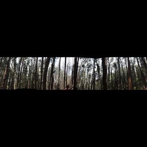 Meet your Posher, Ann